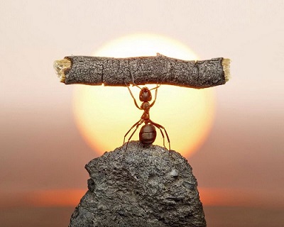 只有深入了解市場才能戰(zhàn)勝恐懼